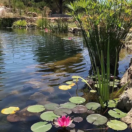 Campsite Alisler Yurdu Armutlu